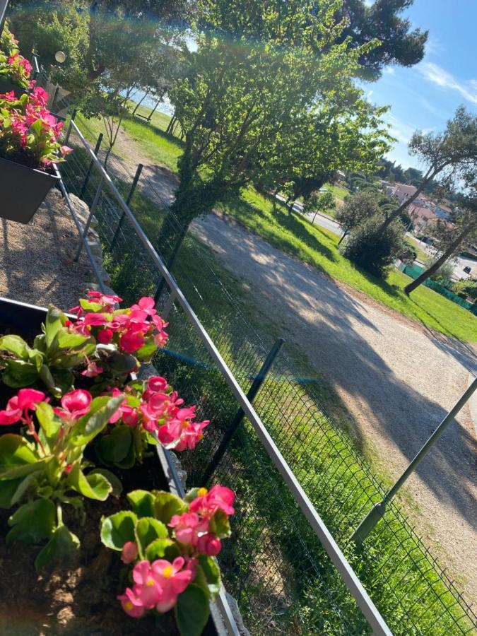 Mobile Home Biondina Camp Porton Nature Hideouts โรวีน ภายนอก รูปภาพ