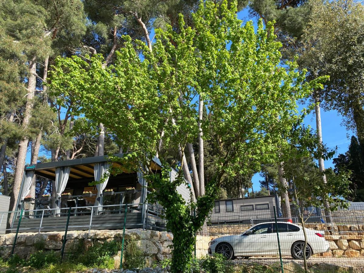 Mobile Home Biondina Camp Porton Nature Hideouts โรวีน ภายนอก รูปภาพ